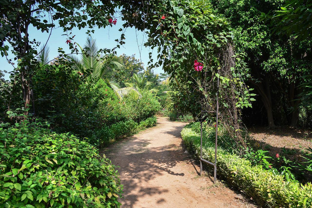 Baaz Jungle Resort Khawāsa Buitenkant foto