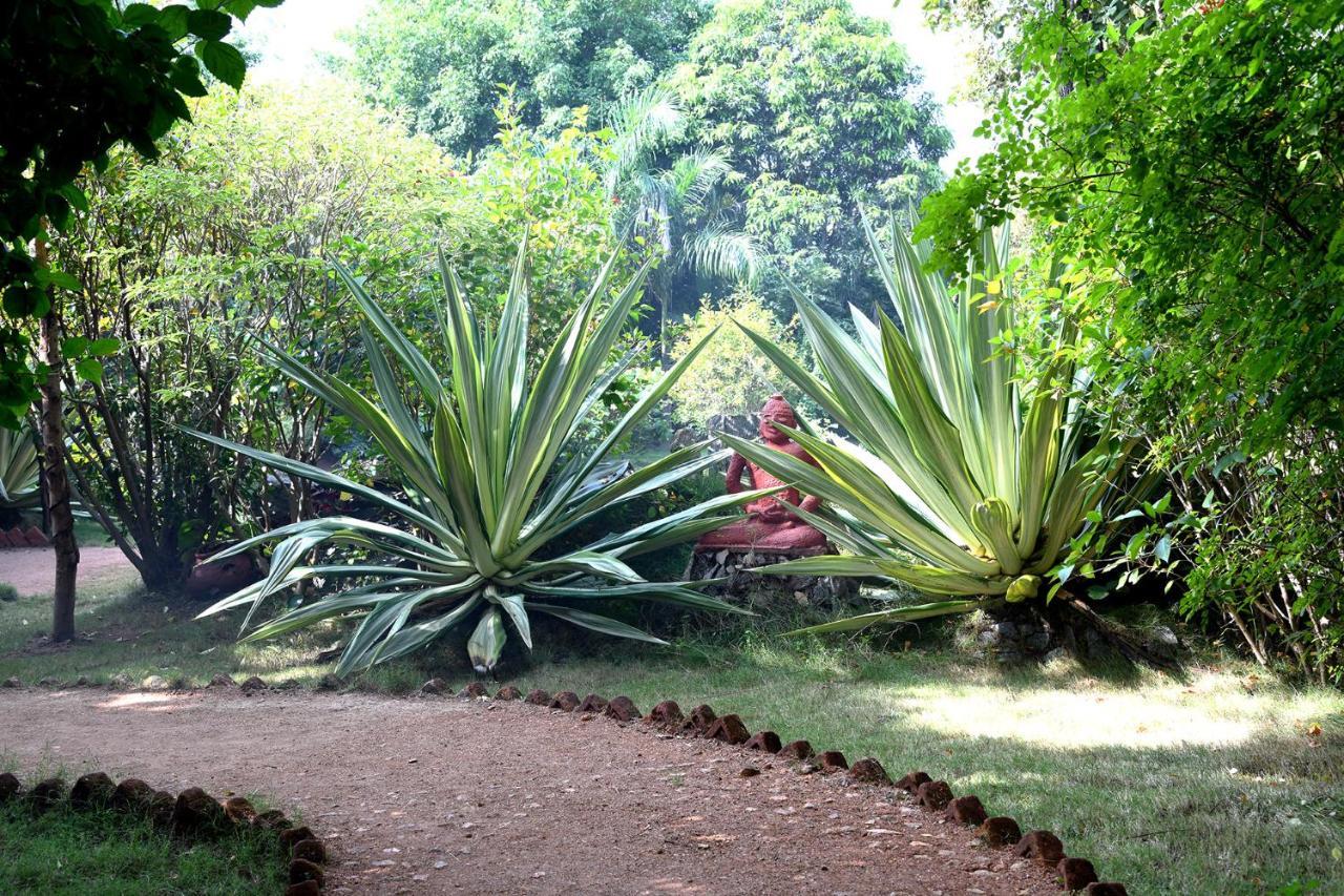 Baaz Jungle Resort Khawāsa Buitenkant foto