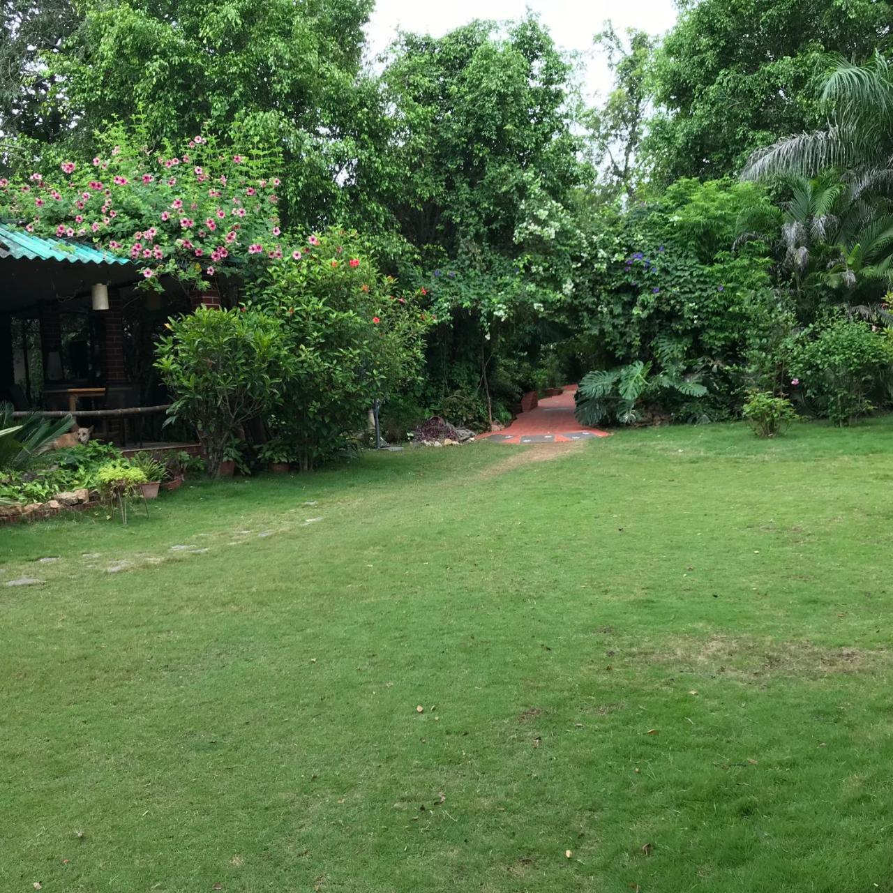 Baaz Jungle Resort Khawāsa Buitenkant foto