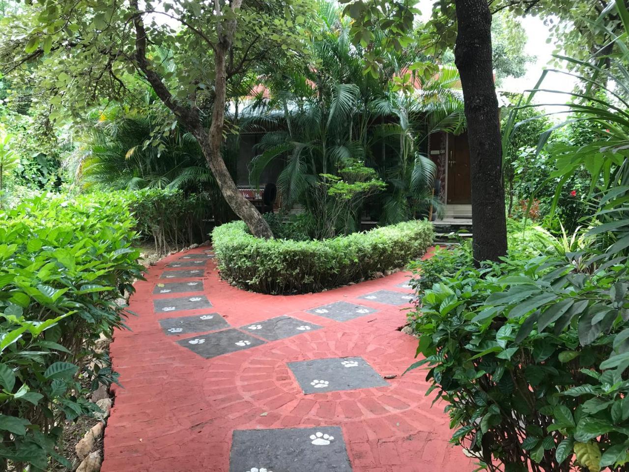Baaz Jungle Resort Khawāsa Buitenkant foto